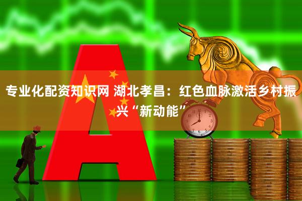 专业化配资知识网 湖北孝昌：红色血脉激活乡村振兴“新动能”