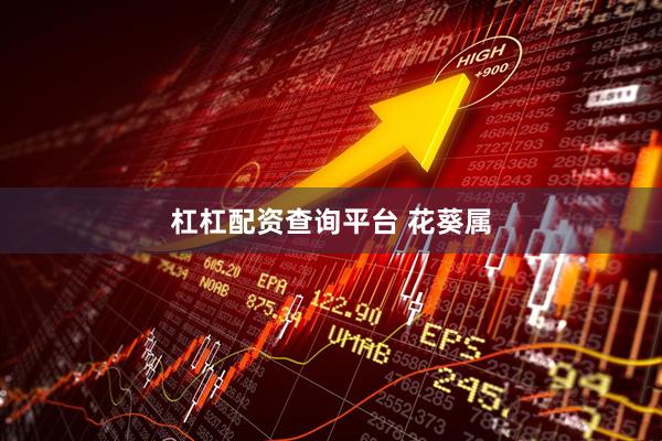 杠杠配资查询平台 花葵属