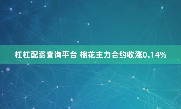 杠杠配资查询平台 棉花主力合约收涨0.14%
